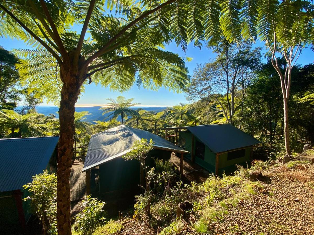 Binna Burra Rainforest Campsite Beechmont Exterior photo
